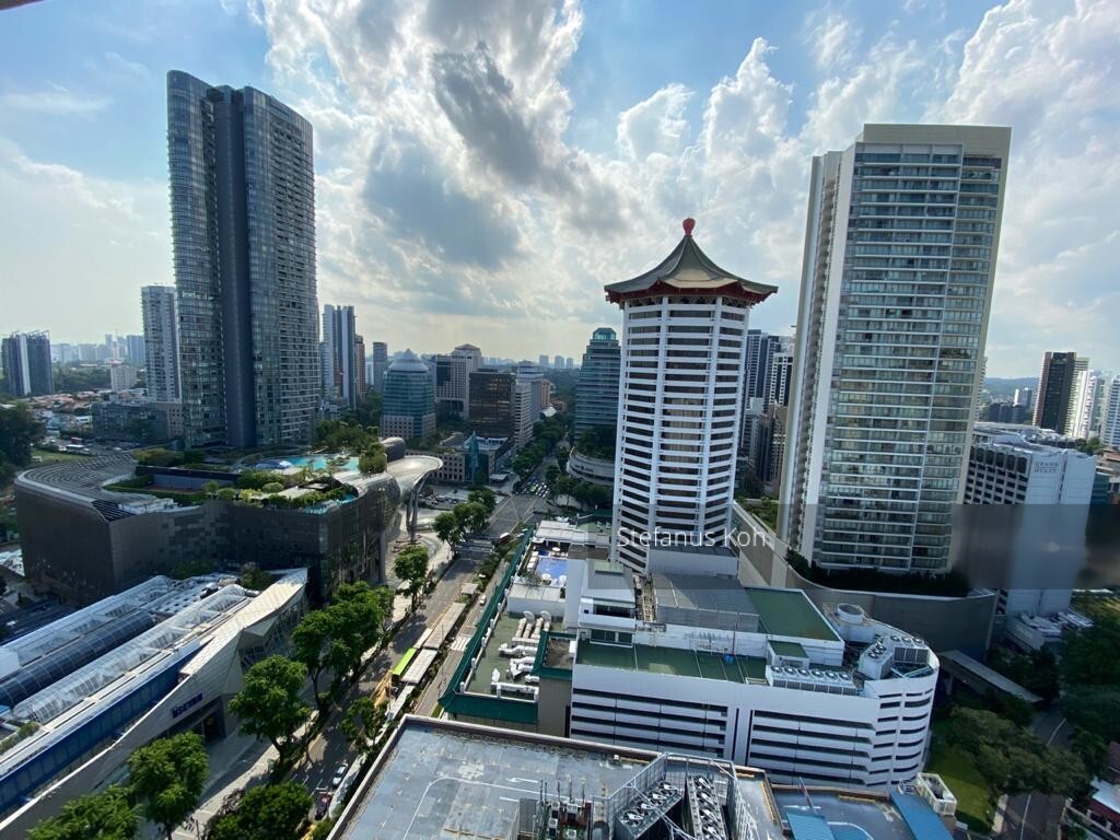 Lucky Plaza (D9), Apartment #297495211